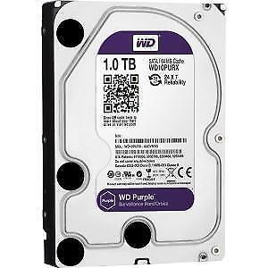 Western Digital 1HDD Surviellance 